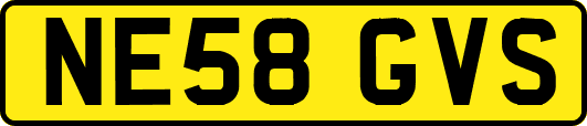 NE58GVS