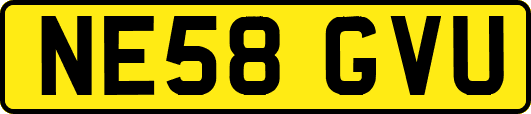 NE58GVU