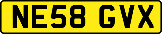 NE58GVX
