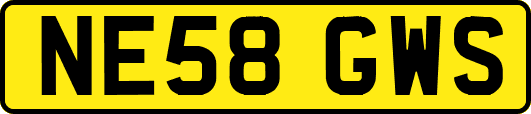 NE58GWS