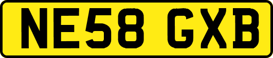 NE58GXB