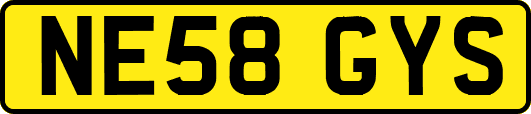 NE58GYS