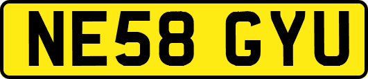 NE58GYU