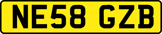 NE58GZB
