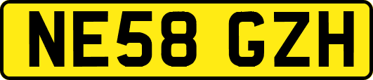 NE58GZH