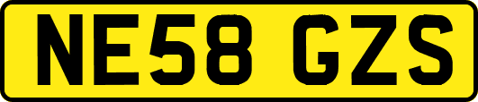 NE58GZS