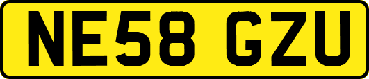 NE58GZU