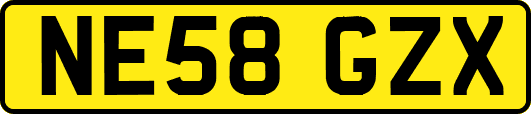 NE58GZX