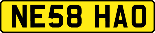 NE58HAO
