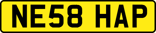 NE58HAP