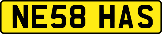 NE58HAS