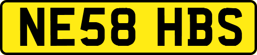 NE58HBS