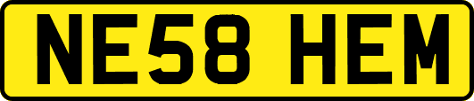 NE58HEM