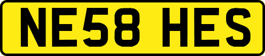 NE58HES