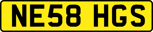 NE58HGS