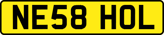 NE58HOL