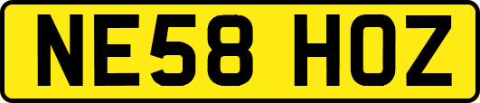 NE58HOZ