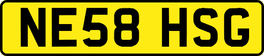 NE58HSG