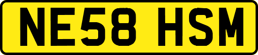 NE58HSM