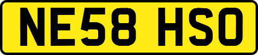 NE58HSO