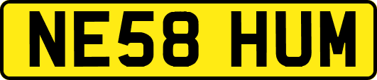 NE58HUM