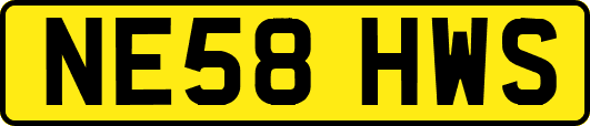 NE58HWS