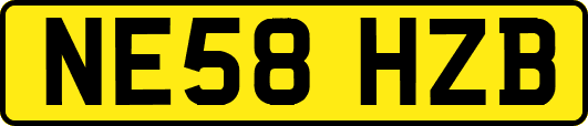 NE58HZB