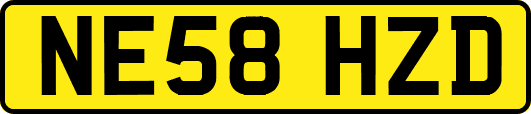 NE58HZD