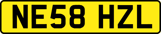 NE58HZL