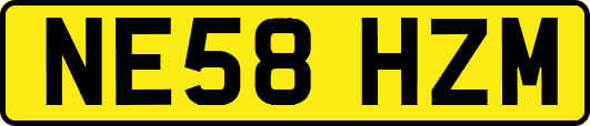 NE58HZM