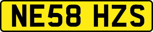 NE58HZS