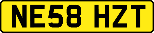 NE58HZT