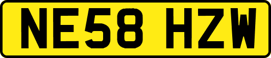 NE58HZW