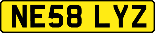 NE58LYZ