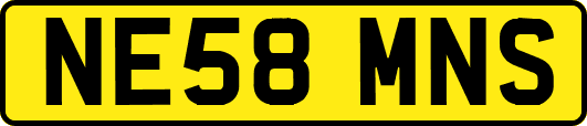 NE58MNS