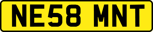 NE58MNT