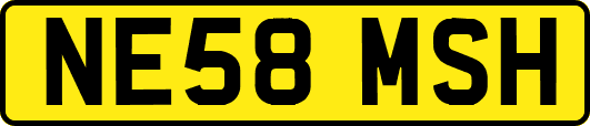 NE58MSH
