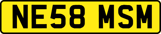 NE58MSM