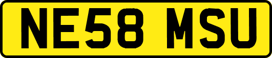 NE58MSU