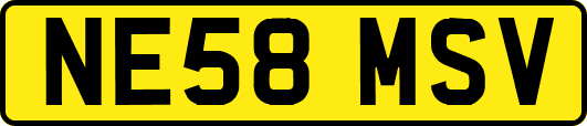 NE58MSV
