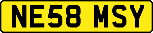 NE58MSY