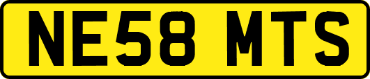 NE58MTS