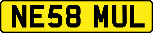 NE58MUL