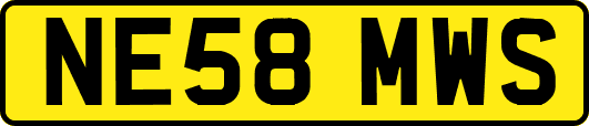 NE58MWS