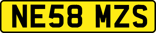 NE58MZS