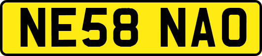 NE58NAO