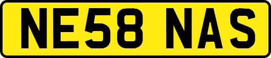 NE58NAS