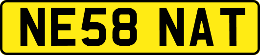 NE58NAT