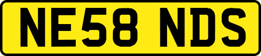 NE58NDS