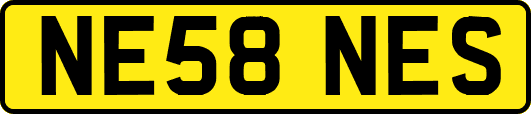 NE58NES